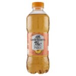SAN BENEDETTO TE' PESCA 500 ml x 12 bott. PET